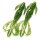 Keitech Crazy Flapper 2,8" Watermelon Flash