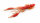 Nays Creaturebait CRTR 4.0 inch C-08