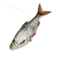 Quantum Mr. Pike Ghost Traces Float Rig weiß Gr.1+4...