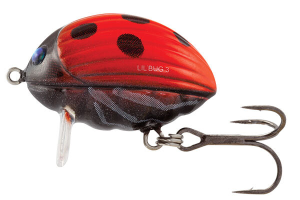 Salmo Ladybird LIL´BUG
