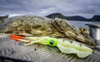 Rhino Squid 200g 30cm natural
