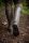 Fox Neoprene Lined Rubber Boot khaki/camo Gr.42