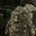 M-Tac Patch Tactical Girl ?5 PVC Olive