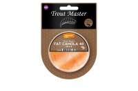 Spro TM Fat Camola 40 natural/clear