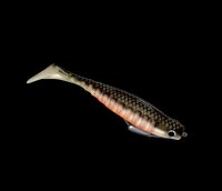Delalande Neo Shallow Texas 16cm 7g STRANGE ROACH