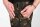 Fox LW Camo joggers XL