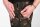 Fox LW Camo joggers 2XL