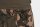 Fox LW Camo jogger Short XL