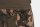 Fox LW Camo jogger Short 3XL